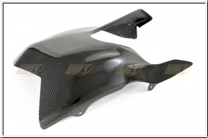 CDT swingarm cover Streetfighter