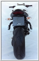 ZARD Komplettanlage V2 Triumph Speed Triple ab 2011