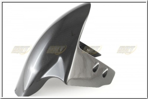 CDT front fender 1199 Panigale