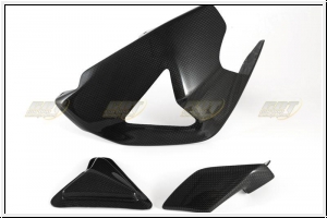 CDT swingarm guard Evo 1199 Panigale