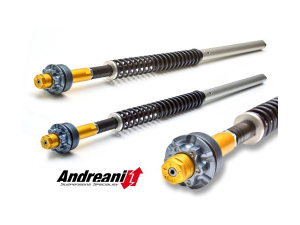 Ducabike Andreani cartridge kit Scrambler 800