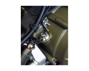 Motocorse titanium oil plug