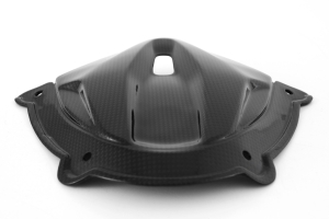 Fullsix Instrumentenabdeckung Panigale V4 ab BJ 2025