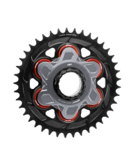 AEM factory Alu Kettenrad superlight Monoschwinge grosse Achse Ducati