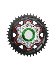 AEM factory Alu Kettenrad superlight Monoschwinge grosse Achse Ducati