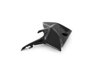 Fullsix Abdeckung Kupplungsleitung Streetfigher V4 ab BJ 2025