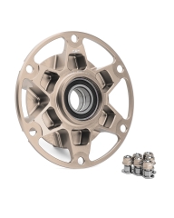 AEM factory Kettenradtr�ger Kit Doppelschwinge Panigale V2 und Streetfighter V2 ab BJ 2025