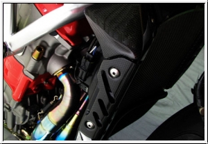 Motocorse water radiator cover Brutale