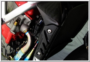 Motocorse Wasserkhler-Abdeckung Brutale