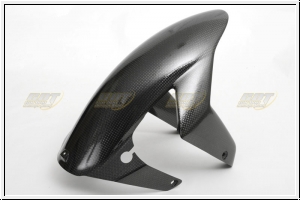 CDT front fender type 1 749 - 999 and Monster S4Rs