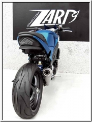 ZARD 3>1 Komplettanlage Triumph Speed Triple 2005-10