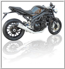 ZARD 3>1 Komplettanlage Triumph Speed Triple 2005-10