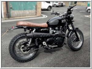 ZARD 2>1 Komplettanlage hoch Triumph Scrambler