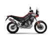 ZARD silencer Sabbia Aprilia Tuareg 660