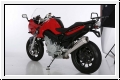 ZARD Schalldmpfer BMW F 800 S und ST