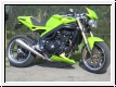 ZARD Schalldmpfer Triumph Speed Triple 2005-10