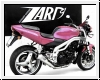 ZARD 3>1 Komplettanlage Triumph Speed Triple 2002-04